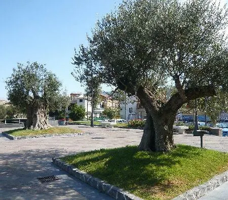 Alojamento de Acomodação e Pequeno-almoço Il Tulipano 5*