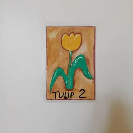 Il Tulipano Alojamento de Acomodação e Pequeno-almoço Colli di Fontanelle