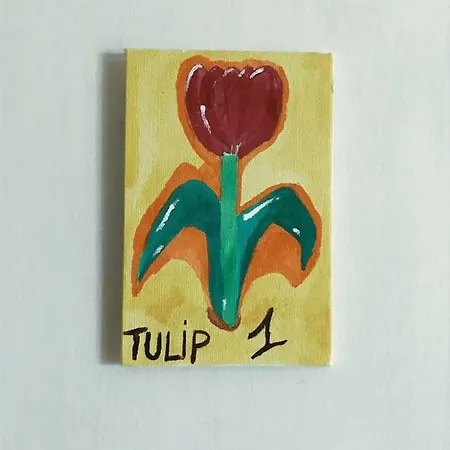 Frühstückspension Il Tulipano Colli di Fontanelle